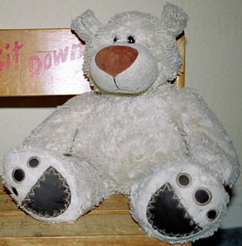 2006 First & Main White Bear