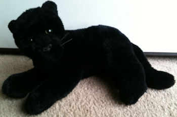 Ty black hot sale panther