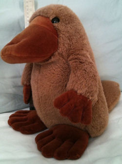 giant stuffed platypus