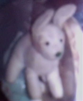 90's White Dog with Floppy Ears