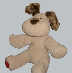 Beige Dog with Brown Ears and Nose