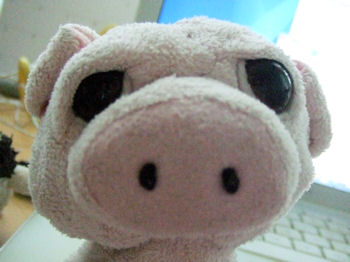 Big Head Sad Eye Pink Pig