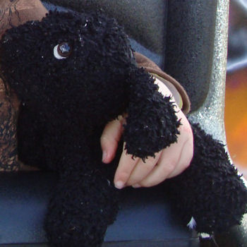 2005 Black Curly Fur Dog with Floppy Ears & Droopy Eyes