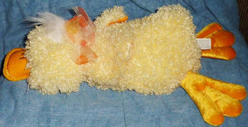 Chosun Lying Down Curly Yellow Duck Platypus
