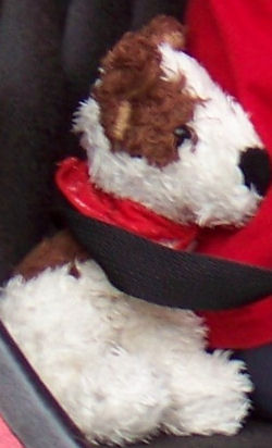 Target Small Circo White Dog with Brown Markings, Wearing a Red Bandanna