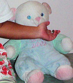 my first teddy 2002