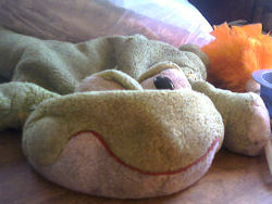 2006 Jay at Play Green Frog
