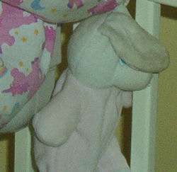 My First Bunny White Rabbit with Pink Ears wearing a Pink Sleeper and Bunny Slippers