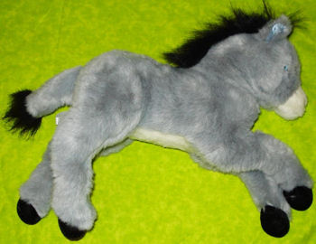 Sugarloaf Gray Donkey with Blue Eyes, a White Muzzle & Tummy, and Black Feet, Mane & Tail