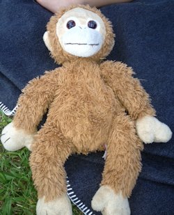 stuffed monkey with velcro hands and feet