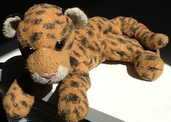 baby leopard stuffed animal