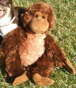 walgreens monkey plush