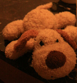 Searching - SMALL TAN CHENILLE Lying Down DOG with BROWN EARS & NOSE